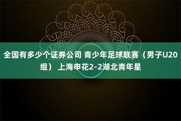 全国有多少个证券公司 青少年足球联赛（男子U20组） 上海申花2-2湖北青年星